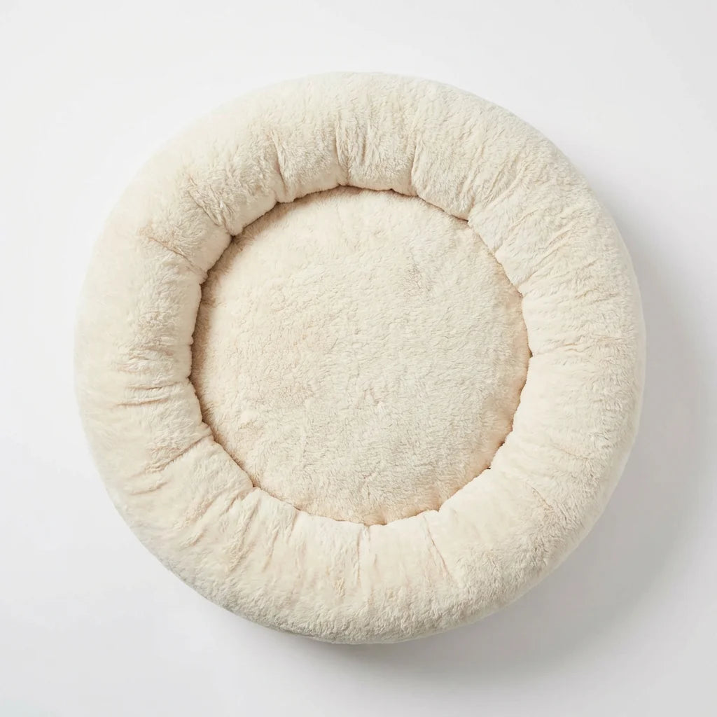 Small dog in donut bed next to human hand for size scale
