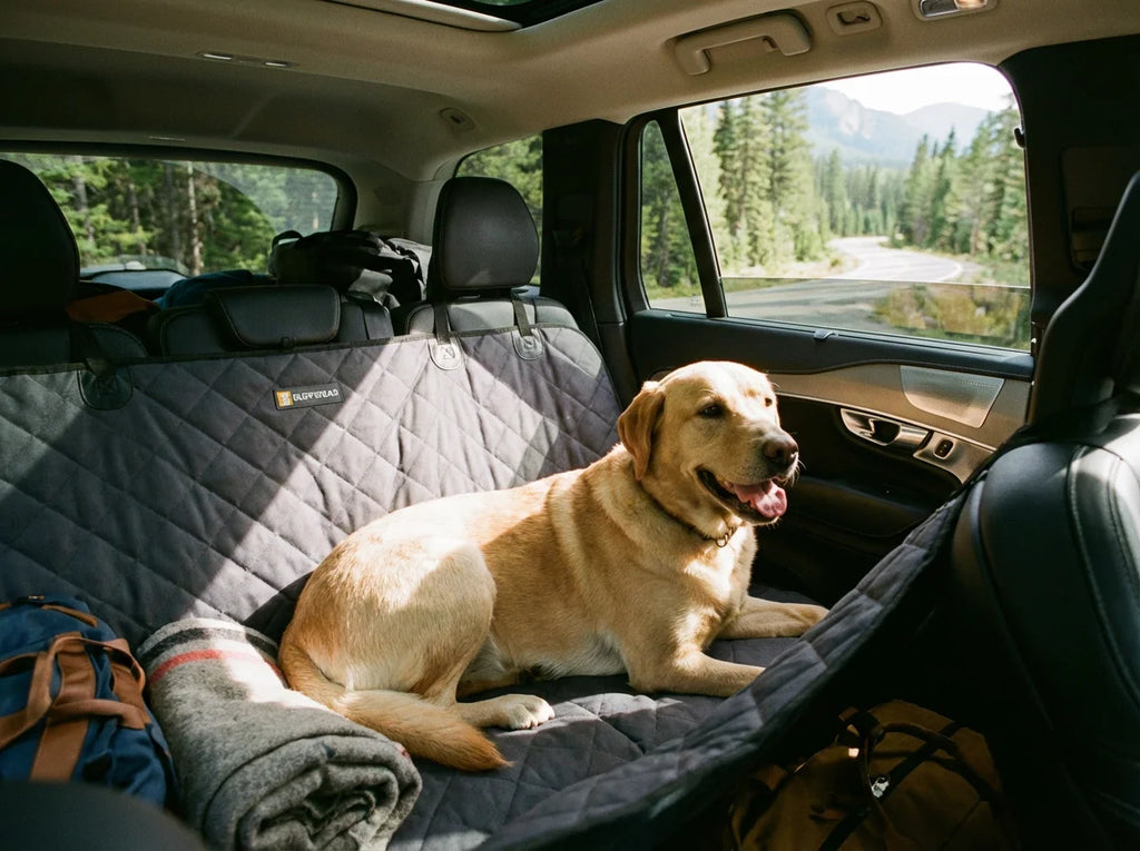 Labrador retriever sitting on waterproof car pet seat cover in SUV