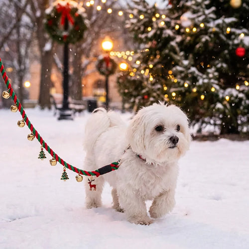 Small white dog wearing Christmas red green braided leash walking in snowy park with holiday trees